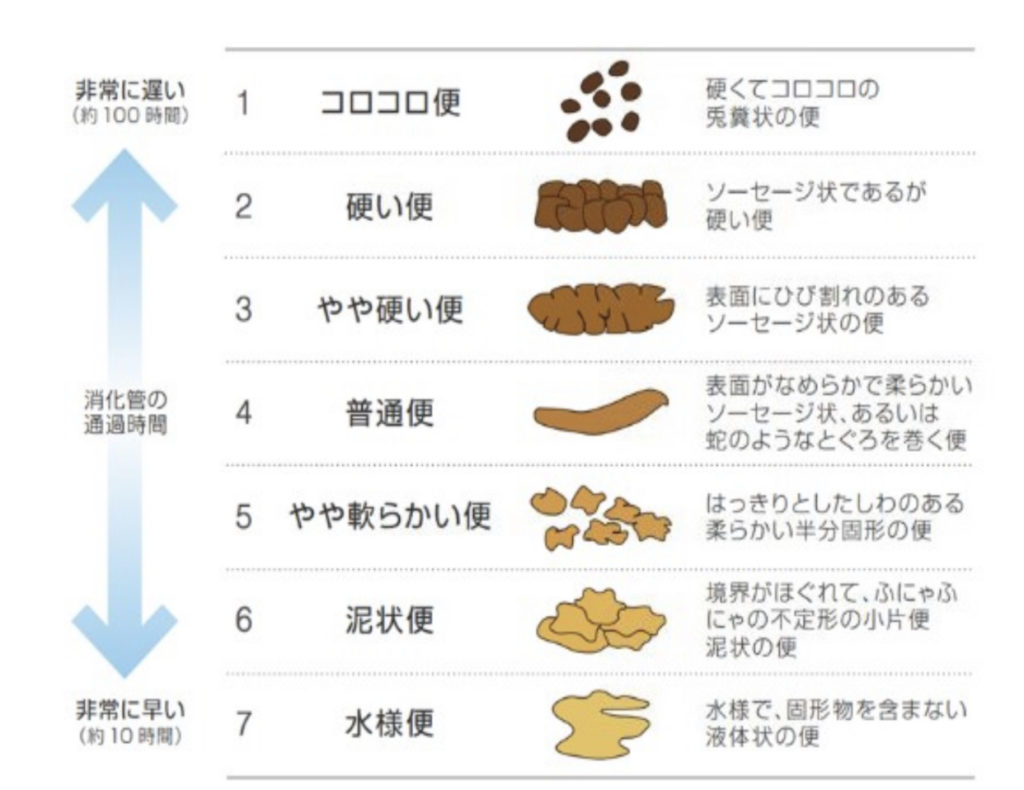 下剤や坐薬施行後の看護 便の性状から便秘対策を考える | 看護師道 ちょっと困った時に使えるノート